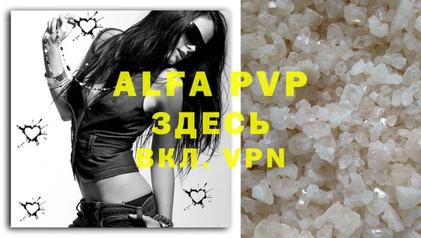 стафф Арсеньев