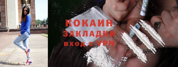 стафф Арсеньев