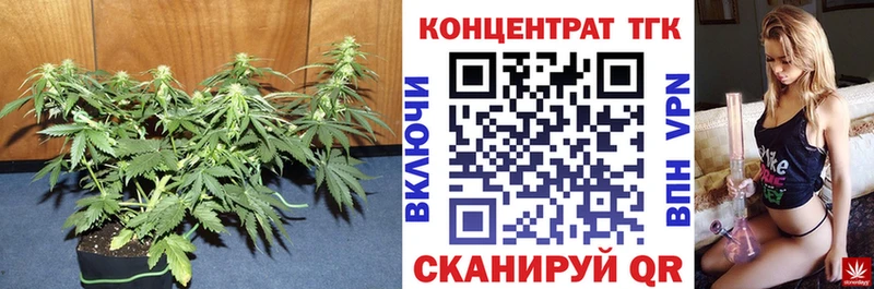 ТГК вейп с тгк  kraken как зайти  Багратионовск 